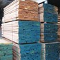 Application Square-edged steamed Beech Grade A and AB / Export