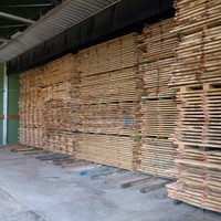 drying-oak-planks-eurochene