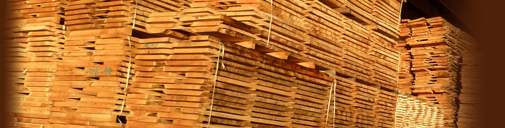 Dry oak planks at the sawmill